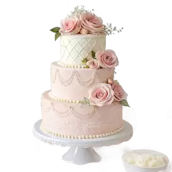 Imagen PNG para descargar